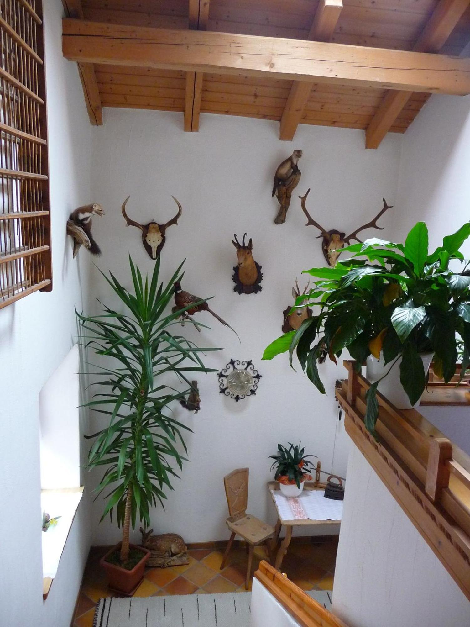Gasthof Gemse Planol Esterno foto