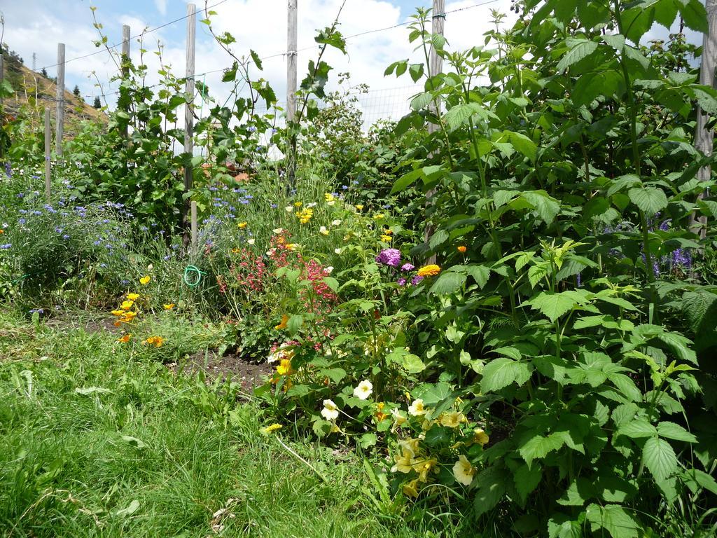 Gasthof Gemse Planol Esterno foto